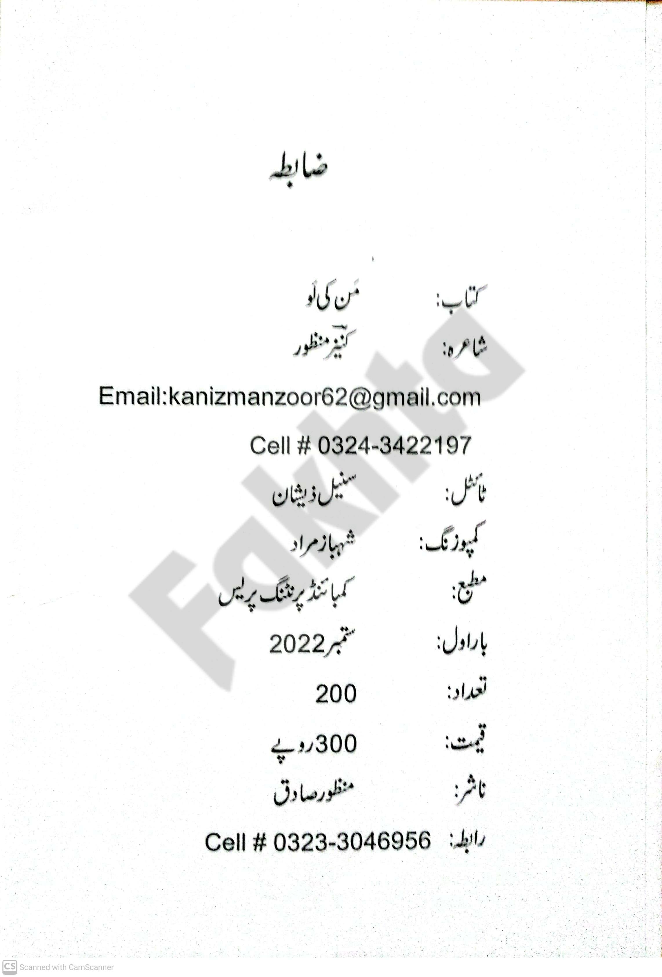 صفحہ