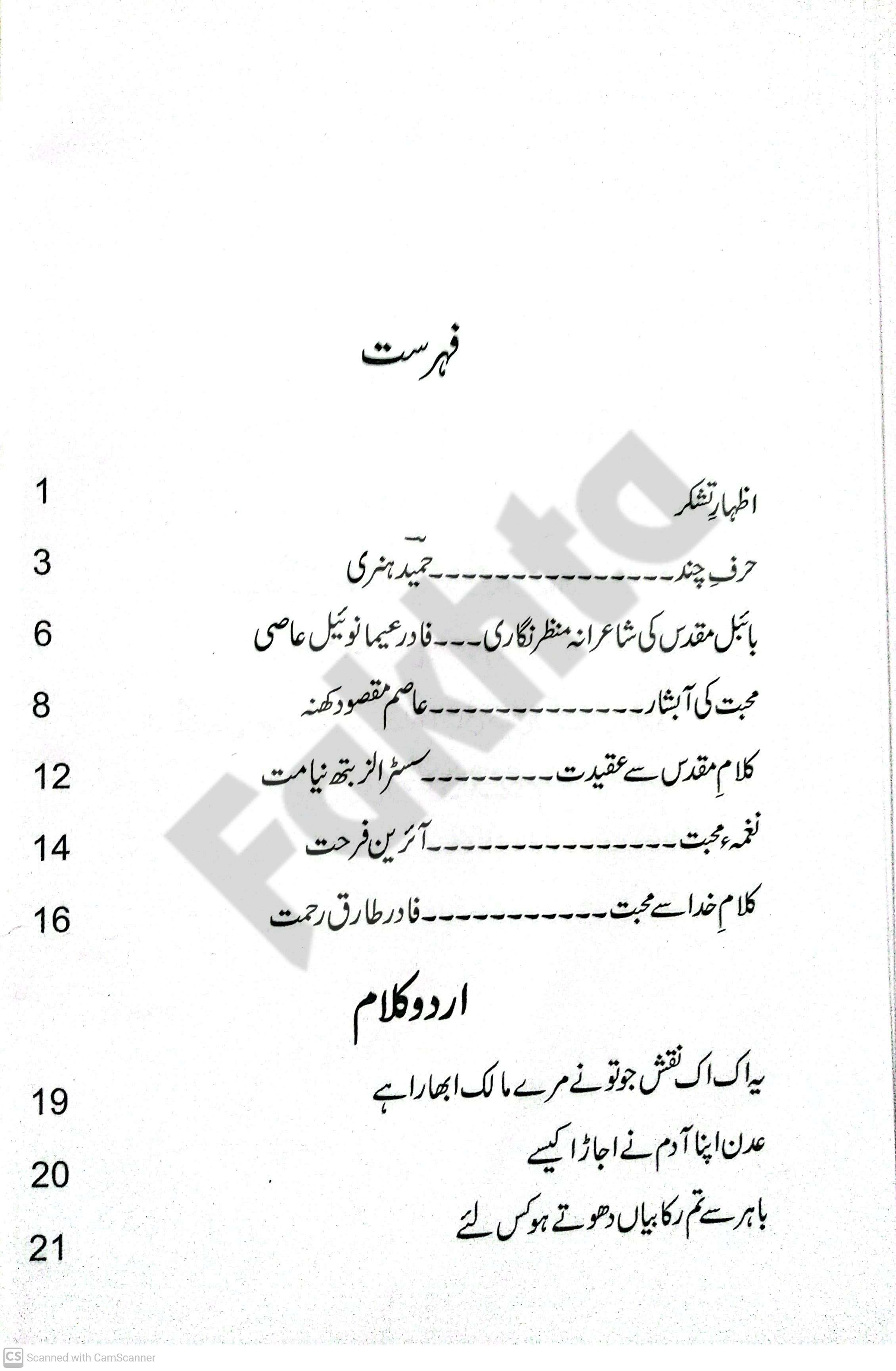 صفحہ