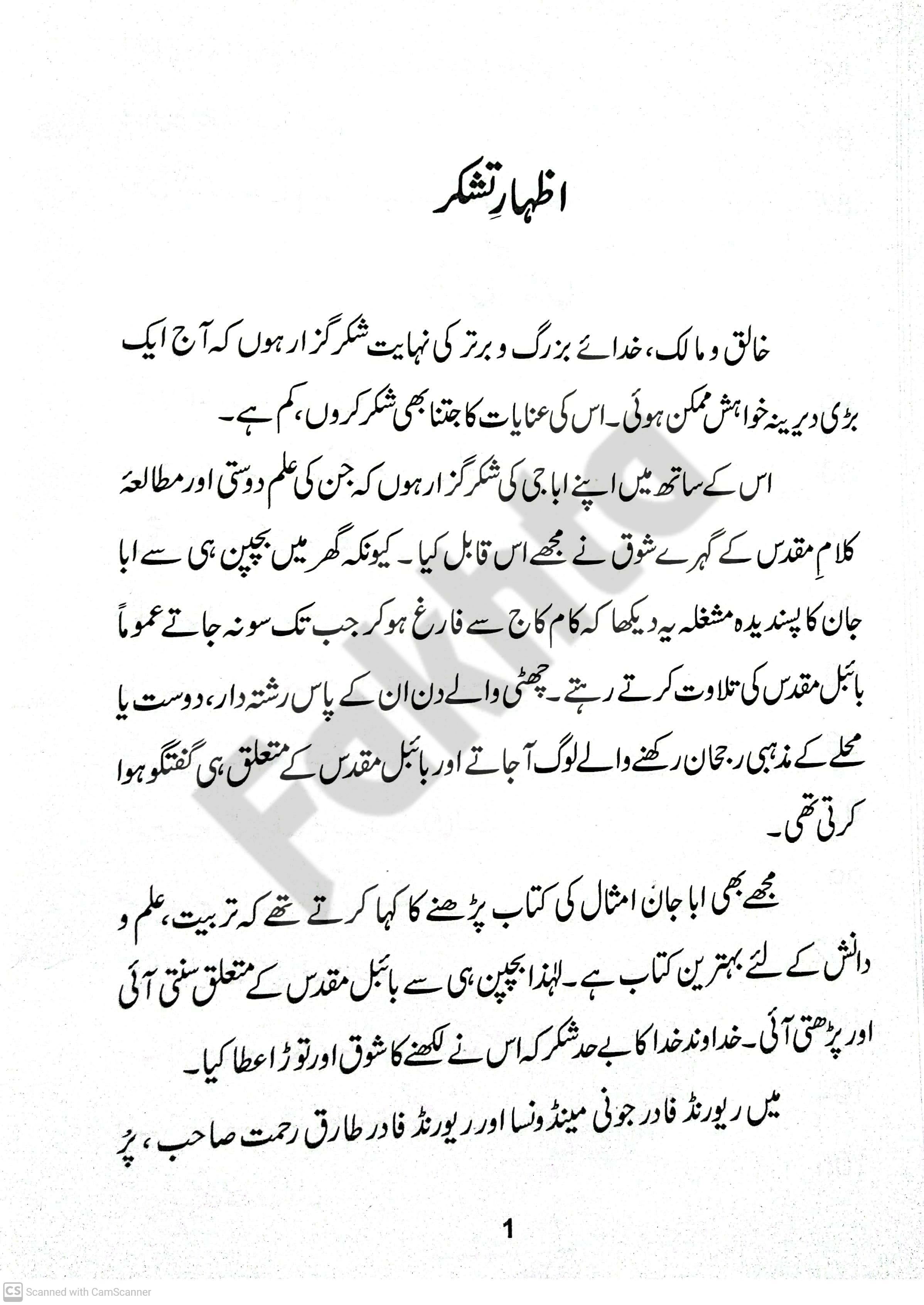 صفحہ
