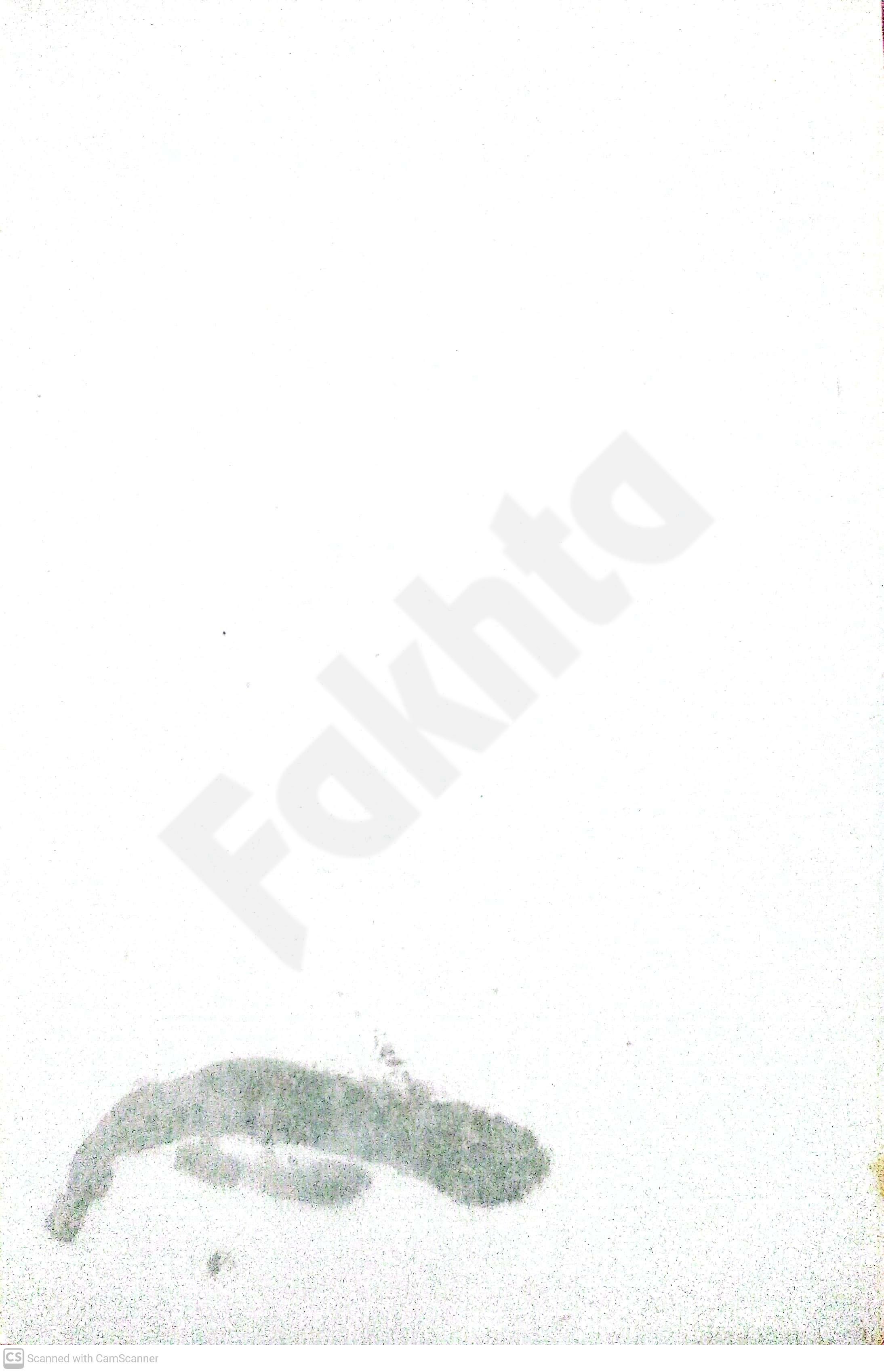 صفحہ
