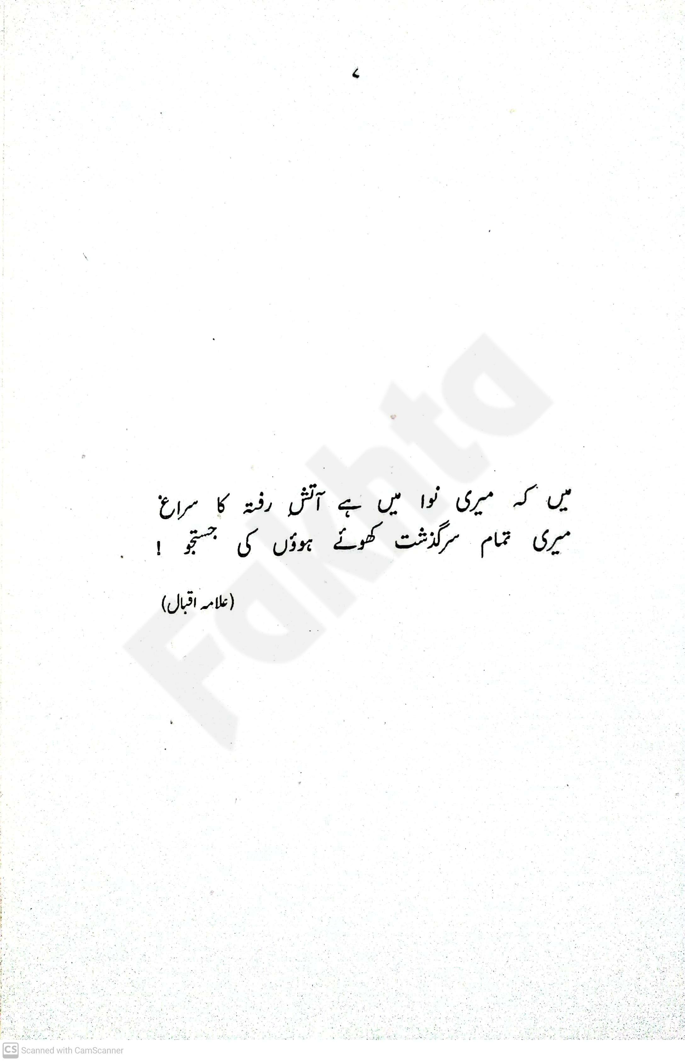 صفحہ