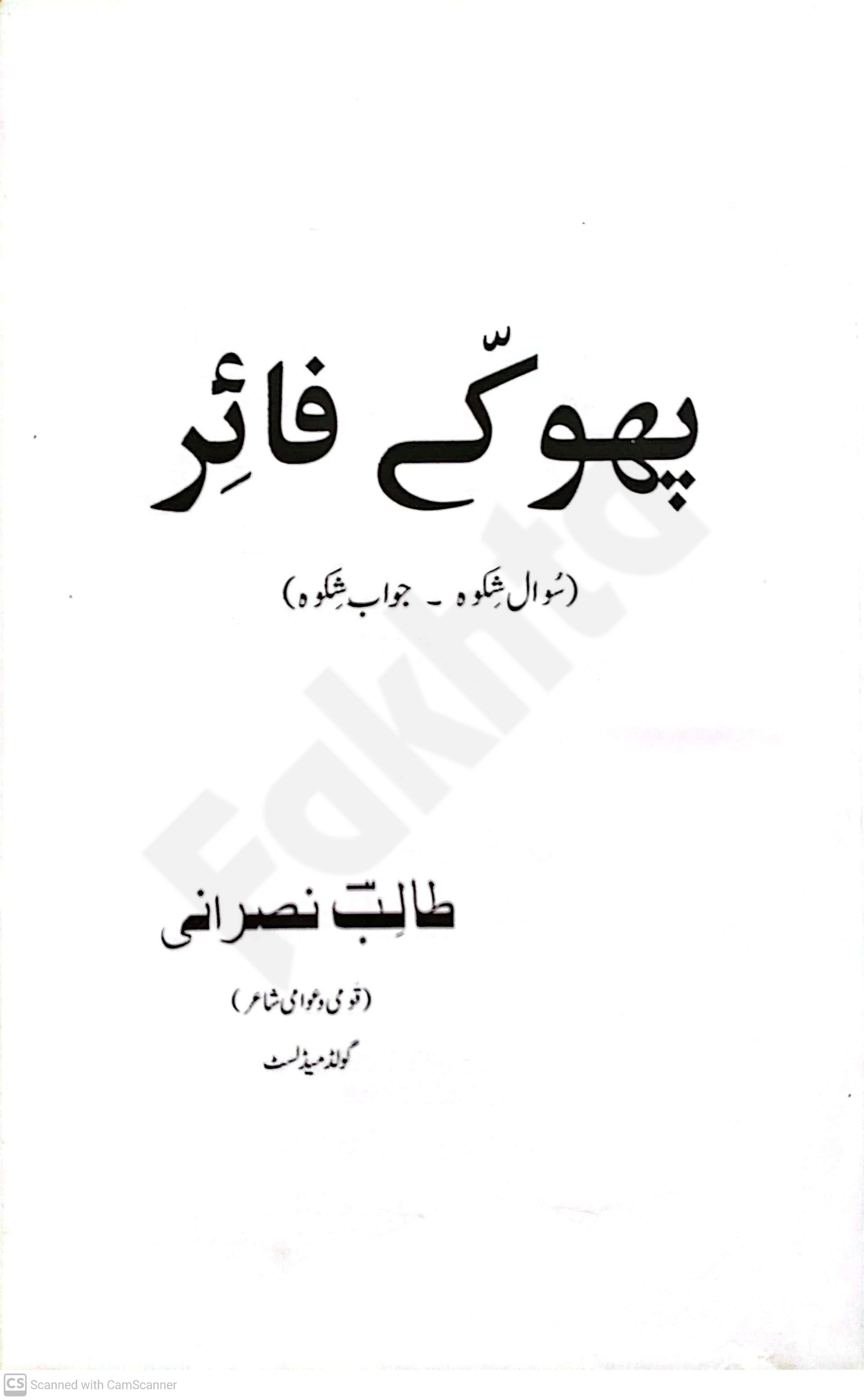 صفحہ